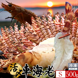 炿 ԊCV hg YⓀySz500gm23-25nV Ԃ F{Y 쓇 N}Gr {B H Ԃ GrtC  Yn { Hו Ă  񂹒ʔ