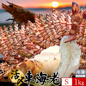 炿 ԊCV hg YⓀySz1kgm45-49nV Ԃ F{Y 쓇 N}Gr {B H Ԃ GrtC  Yn { Hו Ă  񂹒ʔ