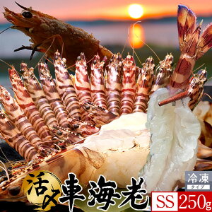 炿 ԊCV hg YⓀyz250gm14-15nV Ԃ F{Y 쓇 N}Gr {B H Ԃ GrtC  Yn { Hו Ă  