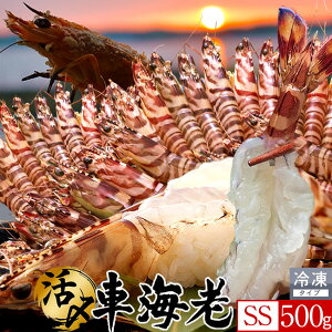 炿 ԊCV hg YⓀyz500gm26-28nV Ԃ F{Y 쓇 N}Gr {B H Ԃ GrtC  Yn { Hו Ă  