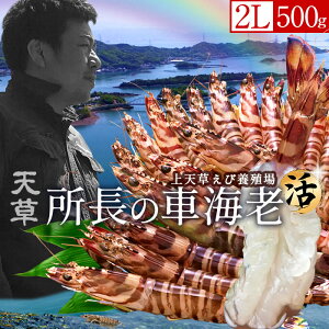 ԊCV y2Lzm\11n܂ 500gm12-14nԂ 炿 Vuh  N}Gr hg F{Y  xH Ԃ {B  Yn 