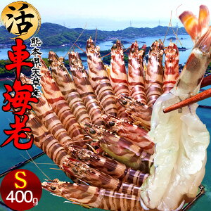 ԊCVm\11n܂ 400gmS 19-20nԂ 炿 ԃGr hg F{Y V N}Gr   Hו xH Ԃ {B  Yn 
