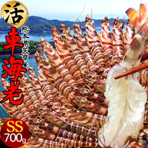 ԊCVm\11n܂ 700gmSS 36-39nԂ 炿 ԃGr hg F{Y V N}Gr   Hו xH Ԃ {B  Yn 