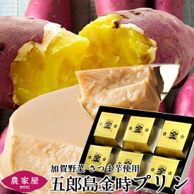 さつまいも プリン 五郎島金時プリン 6個入 石川県産 加賀野菜 プレゼント お土産 さつま芋 スイーツ 焼きいも お土産 プレゼント ぷりん お返し 御祝い おいしい おすすめ サツマイモ 送料無料