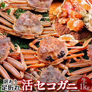 ZRKj 󂠂mBn1kg(8-10) qm2025 ɉցn܂ ZCRKj I 挧Y eI X I ZCRI  ZɁmH̖o ӂ邳ƃMtgn