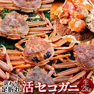 ZRKj 󂠂mBn2kg(16-20) qm2025 ɉցn܂ ZCRKj I 挧Y eI X I ZCRI  ZɁmH̖o ӂ邳ƃMtgn