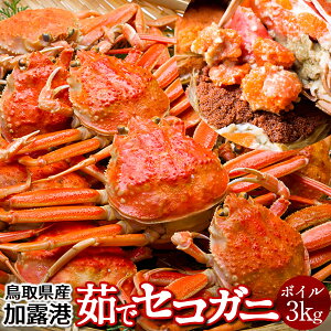 lŃZRKjmn3kg(24-30) qm2025 ɉցn{CZCRKj 挧Y eI X I ZCRI  ZɁmH̖o ӂ邳ƃMtgn