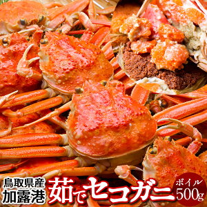 lŃZRKjmn500g(3-4) qm2025 ɉցn{CZCRKj 挧Y eI X I ZCRI  ZɁmH̖o ӂ邳ƃMtgn