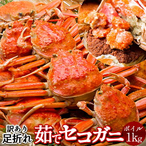 lŃZRKj 󂠂mBn1kg(6-8) qm2025 ɉցn܂ {CZCRKj 挧Y eI X I ZCRI  ZɁmH̖o ӂ邳ƃMtgn