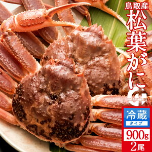 tKjmn900g×2 ^Otm2025 ɉցntI V ܂΂ 挧Y uh}coKj {CYCKjmH̖o ӂ邳ƃMtgn