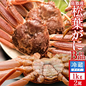 tKj 󂠂mBn1kg×2m2025 ɉցn܂  tI V܂΂ 挧Y uh}coKj {CYCKjmH̖o ӂ邳ƃMtgn