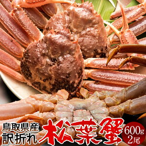 tKj 󂠂mBn600g×2m2025 ɉցn܂  tI V܂΂ 挧Y uh}coKj {CYCKjmH̖o ӂ邳ƃMtgn