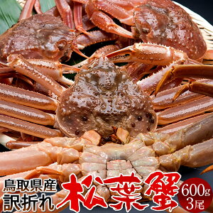 tKj 󂠂mBn600g×3m2025 ɉցn܂  tI V܂΂ 挧Y uh}coKj {CYCKjmΕ ӂ邳ƃMtgn