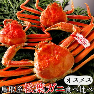 tKjHהׁm600gZRKj2tn^Ot IXXZbg {CtI ł 挧Y uh}coKj YCKj ZCRKjmH̖o ӂ邳ƃMtgn