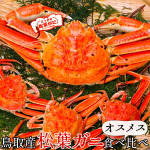 tKjHהׁm600gZRKj3tn^Ot IXXZbg {CtI ł 挧Y uh}coKj YCKj ZCRKjmΕ ӂ邳ƃMtgn