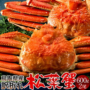 lŏtKj 󂠂mBn600g×2m2025 ɉցn܂ {CtI 䥂ŊI V 挧Y uh}coKj {CYCKjmΕ ӂ邳ƃMtgn