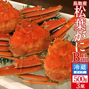 lŏtKj 󂠂mBn500g×3m2025 ɉցn܂ {CtI 䥂ŊI V 挧Y uh}coKj {CYCKjmH̖o ӂ邳ƃMtgn