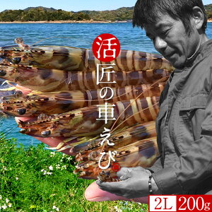 ԊCV y2LzmVсn܂ Ԃ 200gm6-8n炿 ̎ԊCV Y ێR hg F{Y V N}Gr   Hו xH Ԃԁm