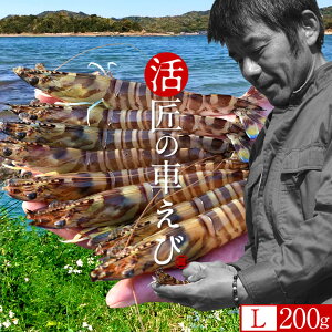 ԊCVmVсn܂ ԂсyLz200gm7-9n炿 V ̎ԊCV Y ێR hg F{Y N}Gr   Hו xH ԂԁmΕ ӂ