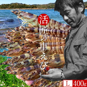 ԊCVmVсn܂ ԂсyLz400gm14-17n炿 V ̎ԊCV Y ێR hg F{Y N}Gr   Hו xH ԂԁmΕ 