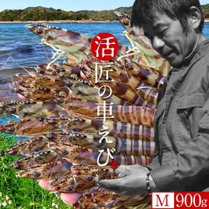 ԊCVmVсn܂ ԂсyMz900gm36-39n炿 V ̎ԊCV Y ێR hg F{Y N}Gr   Hו xH ԂԁmΕ 