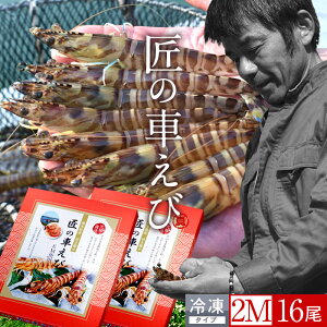 ԊCV V Ⓚ Y 2M 16m8250g×2PnԃGr hg Ă tC F{ {B N}Gr 炿 ̎Ԃ  Yn { Hו Ă Vs Y Yn 񂹁m