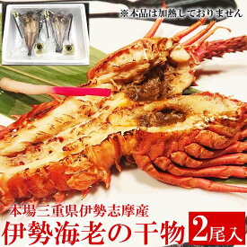 干物 伊勢海老干物 2尾入り (1尾200~250g) 国産 伊勢えび 生ひもの 生干し 焼くだけ簡単 高級珍味 無添加 三重県 志摩市 テレビ放送 グルメ 高級 贈り物 お取り寄せ 人気 通販 おすすめ グルメ 産地直送 冷凍発送 送料無料