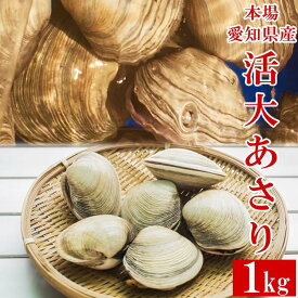 愛知県産 活大アサリ 約1kg(6～8個) 国産 大あさり 大浅利 生食 豪快浜焼き 甘味が凝縮 とれたて新鮮 バーベキュー 海鮮お取り寄せ グルメ 母の日ギフト 贈り物 贈答用 人気 通販 産地直送 全国発送 送料無料 冷蔵配送