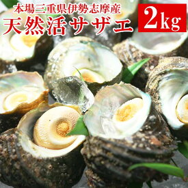 さざえ 伊勢志摩産 天然活サザエ 約2kg(16～24個) 国産 栄螺 生食 壺焼き お刺し身 甘味が凝縮 とれたて新鮮 バーベキュー 海鮮お取り寄せ グルメ 贈り物 贈答用 人気 通販 産地直送 全国発送 送料無料 冷蔵配送