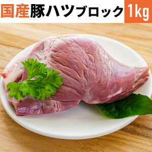 s꒼ Y ؃nc ubN 1kg ^Ⓚi y Ɩp  Iؓ  S z   p J HiMtg 蕨  ̓ V ؗ V 