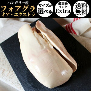 yN[|10%Itz}\ tHAOEIAEGNXg z[ ōO[h Extra v~A nK[Y Ⓚi Ɩp   p J HiMtg 