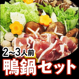 y10%ItzyVX[p[SALE }\ Zbgi2?3lOj艺 y Zbg z Ⓚi      p J HiMtg 蕨 