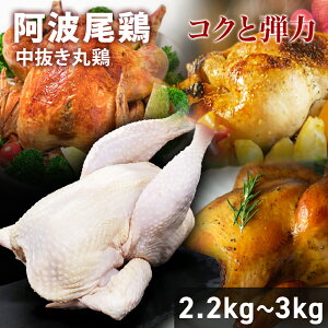 yN[|10%Itz}\ Yn{ g{ ی{ 1H 2.2kg?3kg Y Y { ی{  Y n{ Ƃ  Y{ uh   ے ۂ `