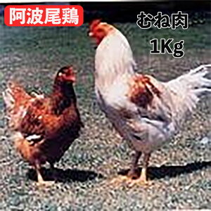 y10%ItzyVX[p[SALE }\ g{ {ނ˓ 1kg Yn{ Y { ①i Ɩp H{   p J HiMtg 蕨  ̓ 
