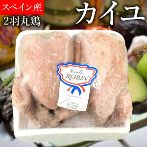 yN[|10%Itz}\ Poulet-d'Or XyCY JC G EY  ی{ ے 2H Ɩp Ⓚi NX}X  Xg