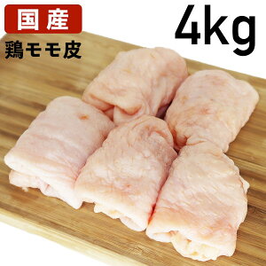  Y{ {   { `[ 4kg Ⓚi  H{   p J HiMtg 蕨  ̓  R[QՂ [o` R