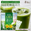 乳酸菌 国産青汁 最大378g(126本×3g) 青汁 飲みやすい 酵素 健康 ダイエット 国産 大麦若葉 乳酸菌 100億個 食物繊維…