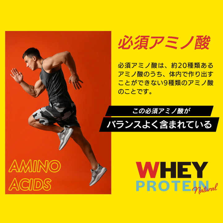 楽天市場】ホエイプロテイン ナチュラル 最大5kg 無添加 国内製造 完全 