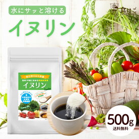 イヌリン 500g [ 食物繊維 水溶性食物繊維 ダイエット 粉末 サプリ パウダー チコリ由来 グルテンフリー アレルゲンフリー 料理 製菓]【送料無料】 R