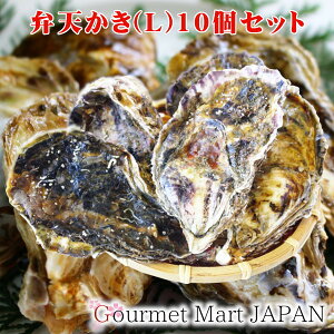 ٓV[L(A3)TCY]10Zbg kCݎY y kt y H yV 񂹃O Mtg Ε 2025