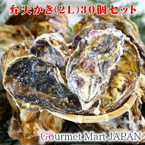 ٓV[2L(A4)TCY]30Zbg kCݎY y kt y H yV 񂹃O Mtg Ε 2025