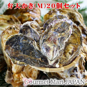 ٓV[M(A2)TCY]20Zbg kCݎY y kt y H yV 񂹃O Mtg Ε 2025