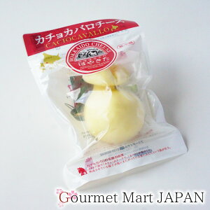 J`Jo ͂₫  yV 񂹃O Mtg Ε 2025