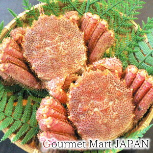 ɂ̃}}T kCYт 450g 2Zbg 񂹃O v[g Mtg