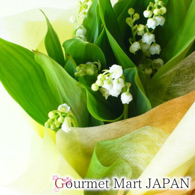 楽天市場 送料無料 母の日 21 北海道産 鈴蘭 すずらん スズラン 鉢植え ラッピング 5月7日 5月9日お届け限定 父の日 21 お取り寄せグルメ プレゼント ギフト グルメマートjapan