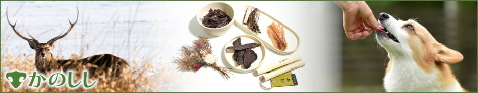 犬用 愛犬 おやつ ご褒美 えぞ鹿ジャーキー 乾燥 生肉 ペットフード わんわんわん