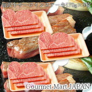 O T[CXe[L170g×9 O򋍃IK^ a A5 yV yV 񂹃O Mtg Ε 2025