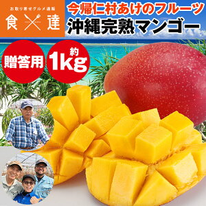 �}���S�[ ���� ���n�}���S�[ �����p 1kg 2�`3�� ���A�m�� �M�t�g �����̃t���[�c �A�b�v���}���S�[ �A�[�E�B���� �①�� �����s�� �w����s��