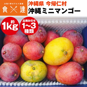 �~�j�}���S�[ 1kg ���ꌧ�Y 1�`3����x ���ƒ�p �}���S�[ ���A�m�� �①�� �����s�� �w����s��