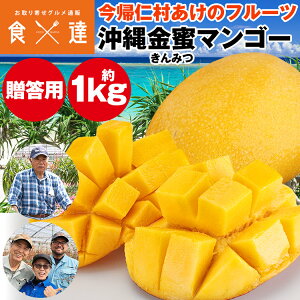 �����}���S�[ 1kg �����p ���ꌧ�Y �L���~�c �}���S�[ ���A�m�� �Y�� �①�� �����s�� �w����s��